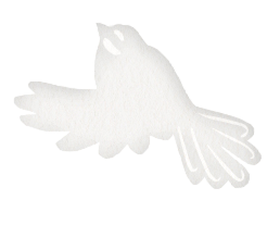 piwakawaka
 l'ami du peuple