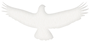Kāhu
 le guerrier de l'écosystème